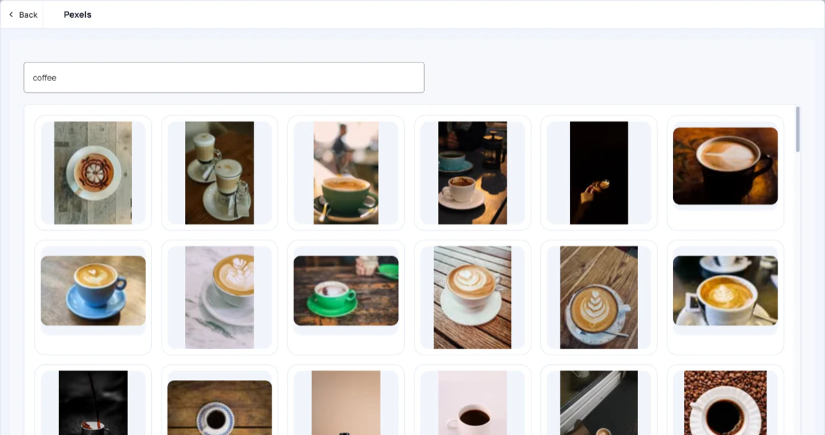 Pexels search results