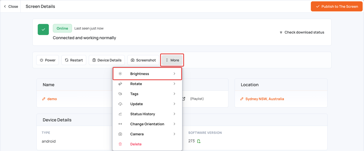 Brightness option in the More menu